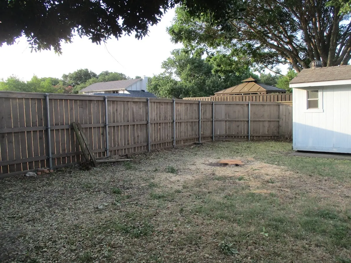 Cleared yard after professional tree removal in Hayden